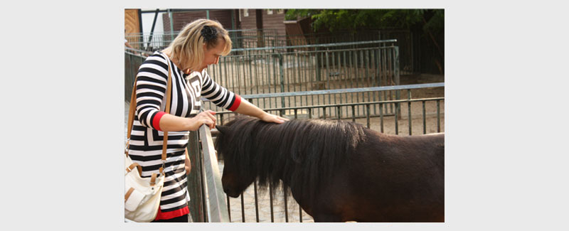 Tierheilpraxis für Pferde in Chemnitz